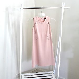 Ann Taylor Pink Shift Dress